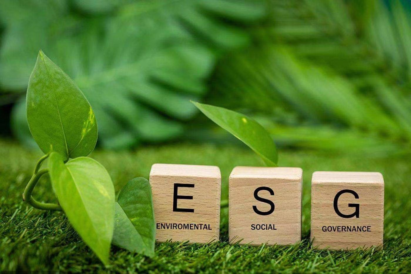 ESG環(huán)保合規(guī)報(bào)告